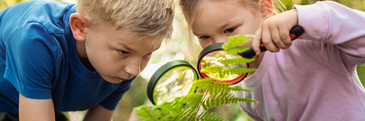 Wycieczka do Górzna