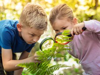 Wycieczka do Górzna
